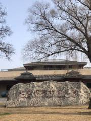 Qin Palace Site