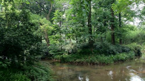 Donghu Wetland Park