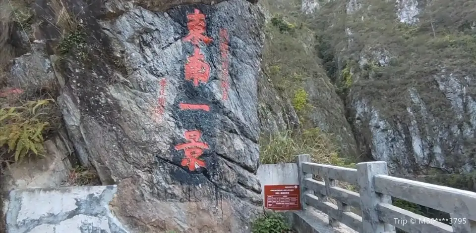 dong nan yi jing