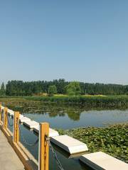 Daotunwa National City Wetland Park