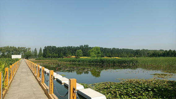 Daotunwa National City Wetland Park