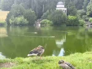 Wilhelmshöhe Park