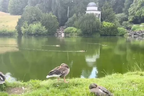 Bergpark Wilhelmshöhe