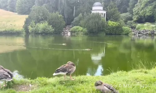 Wilhelmshöhe Park