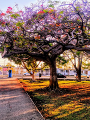 Parque de la Alemán