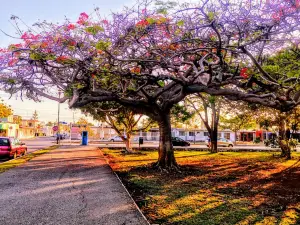 Parque de la Alemán