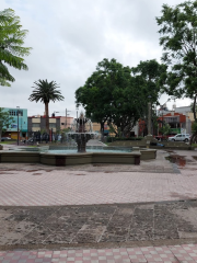 San José de Analco Garden