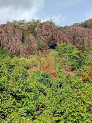 Dongargarh-Dhaara Reserve Forest