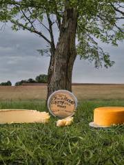 Valley Side Farm Cheese