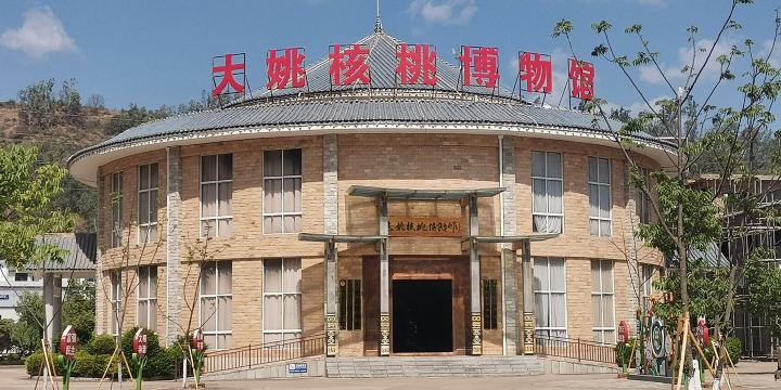 Dayaoxian Hetao Museum