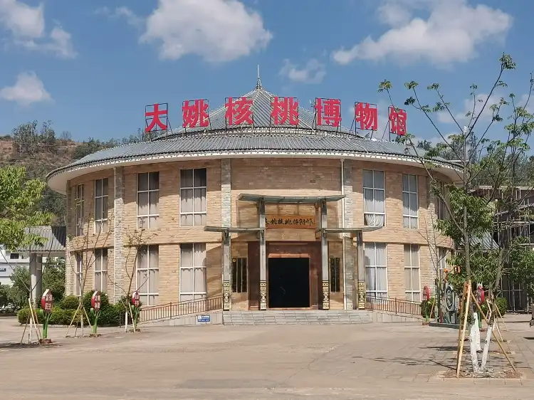Hotels near Dayaoxian Hetao Museum
