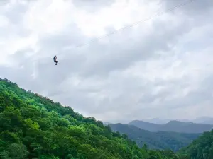 Navitat Canopy Adventures