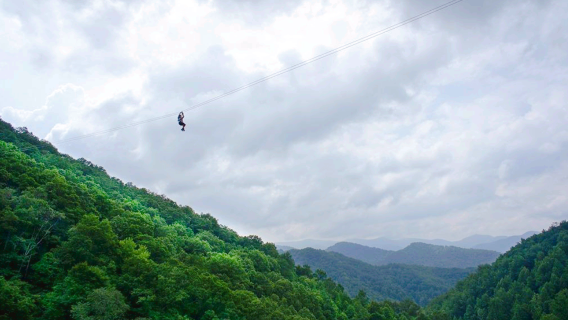 Navitat Canopy Adventures