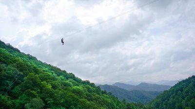 Navitat Canopy Adventures