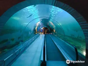 Bueng Boraphet Aquarium