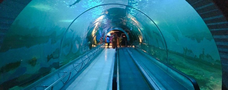 Bueng Boraphet Aquarium