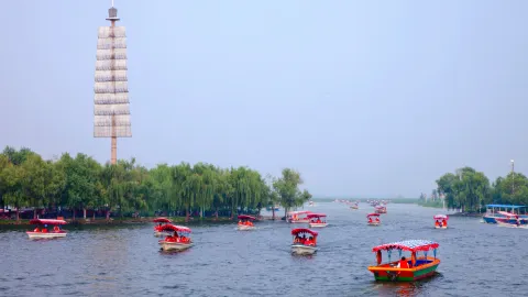 白洋澱景區 travel destination