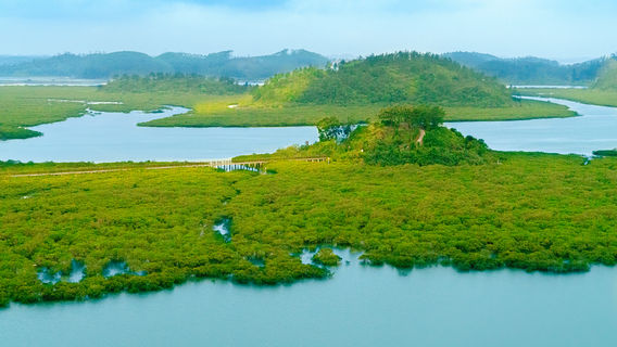 Xiandao Park (Southeast Gate)