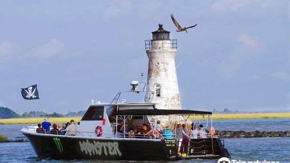 Captain Derek's Dolphin Adventure