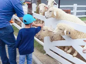 Cimory Dairyland Farm Theme Park Prigen