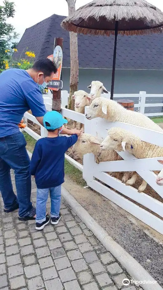 Hotel dekat Dairyland Farm Theme Park Prigen