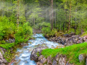 Zauberwald, Ramsau bei Berchtesgaden