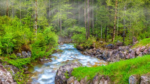 Munich Magic Forest + Konigssee + Ramsau border town 1-day tour with door-to-door pickup