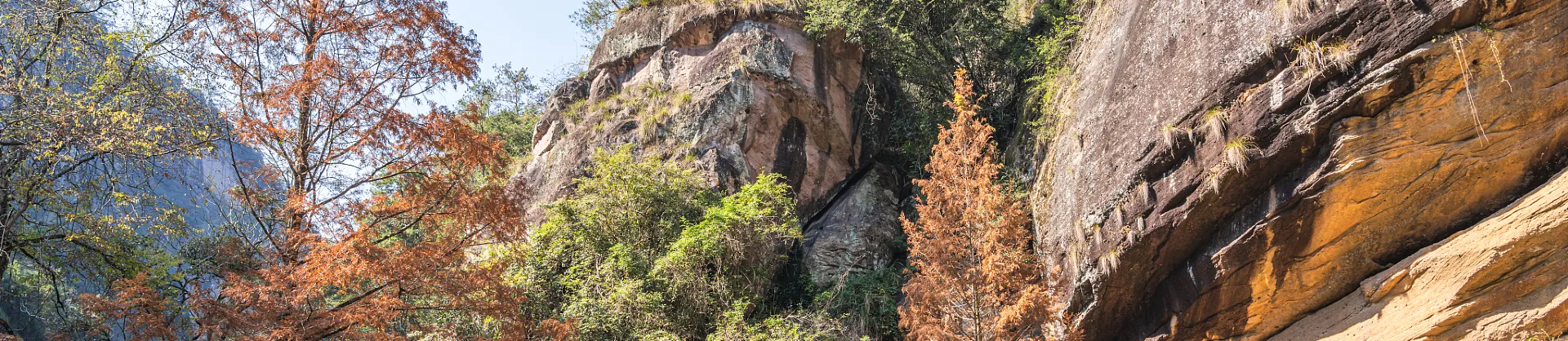 Fall Viewing Attractions