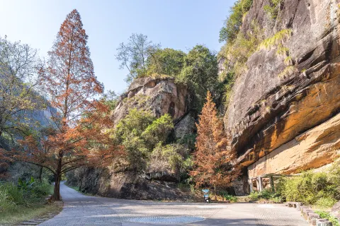 Wuyishan National Park