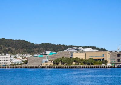 Museo de Nueva Zelanda Te Papa Tongarewa
