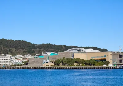 Te Papa Tongarewa