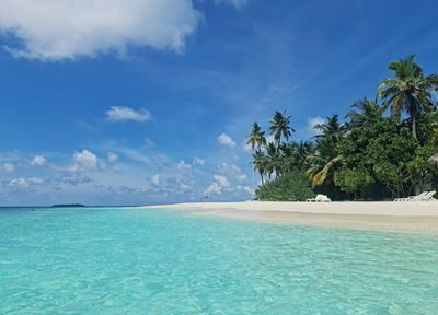 Hirundhoo