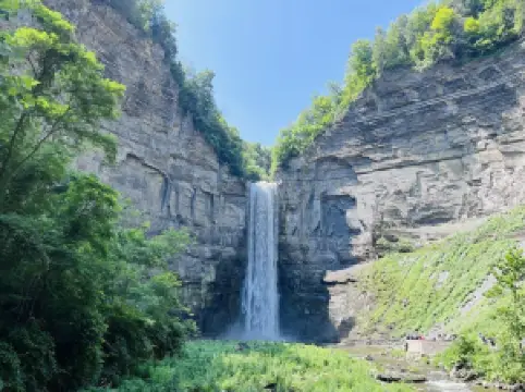 タグ・ヒル州有林