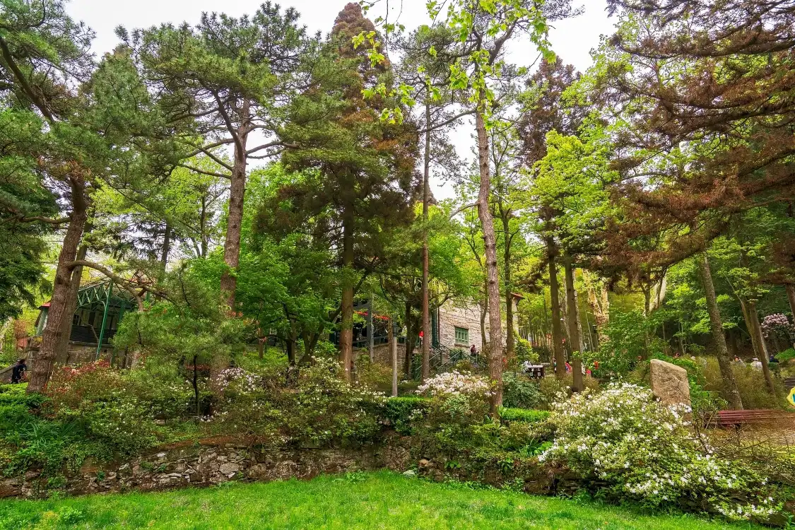 Hotels near Mei Lu Villa