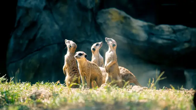 2_紅山森林動物園