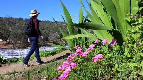 Swan Valley attraction in Perth