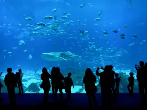 佐治亞水族館