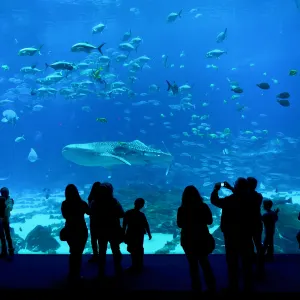 佐治亞水族館