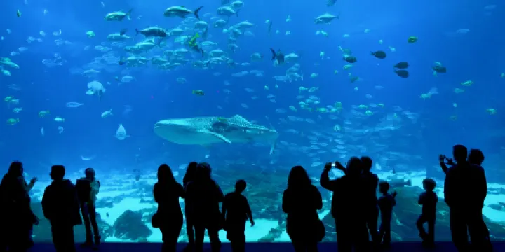 佐治亞水族館
