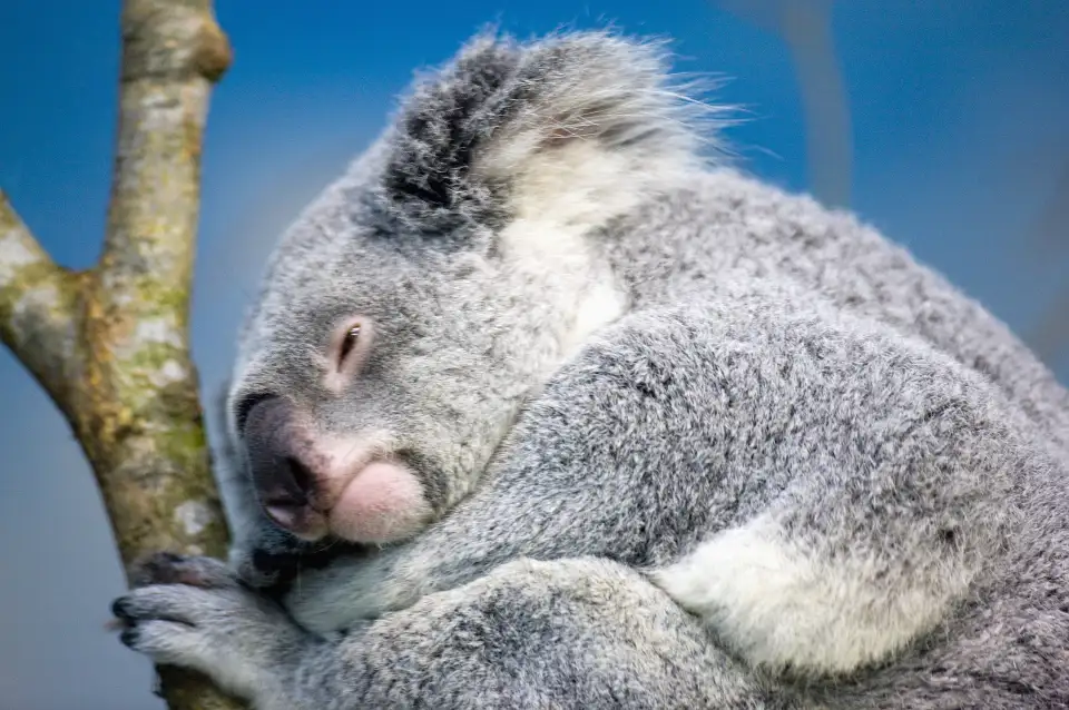 5_臺北市立動物園