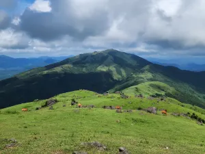 Shiwan Great Mountain National Forest Park