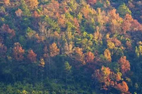 Xinxing Tianlushan Resort