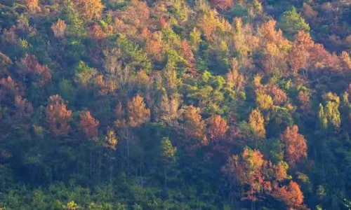 Xinxing Tianlushan Resort