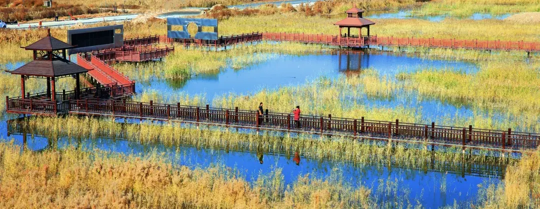 Fall Viewing Attractions