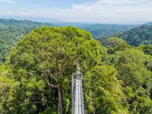 Ulu Temburong National Park