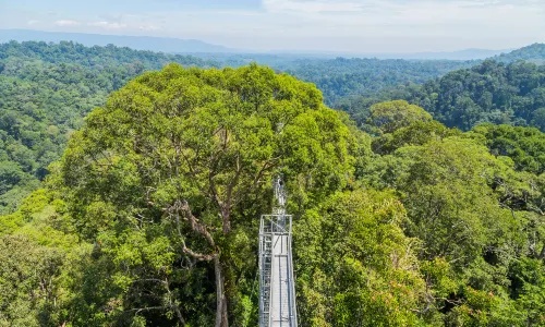 Ulu Temburong National Park