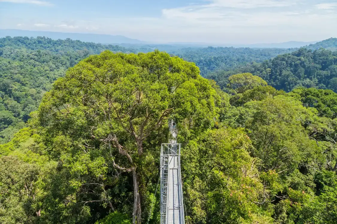 Hotels near Ulu Temburong National Park
