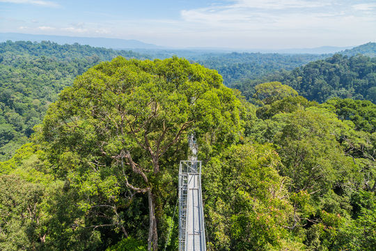 Nationalpark Ulu Temburong