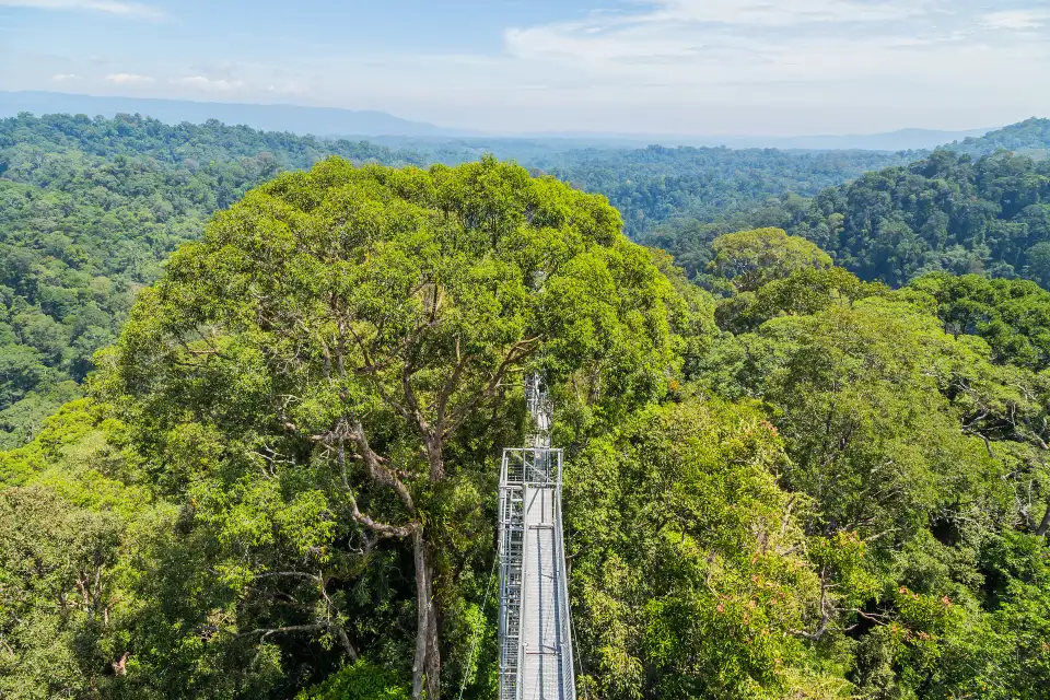 1_Ulu Temburong National Park
