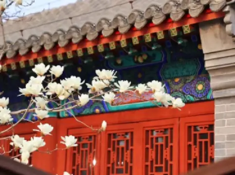 Popular Spring Outings in Yulin